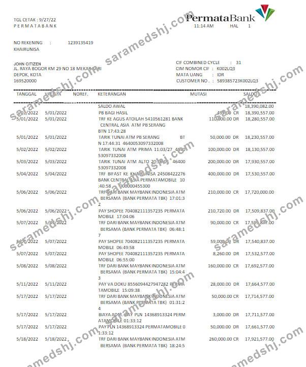 Indonesia Permatabank statement Word and PDF template scr